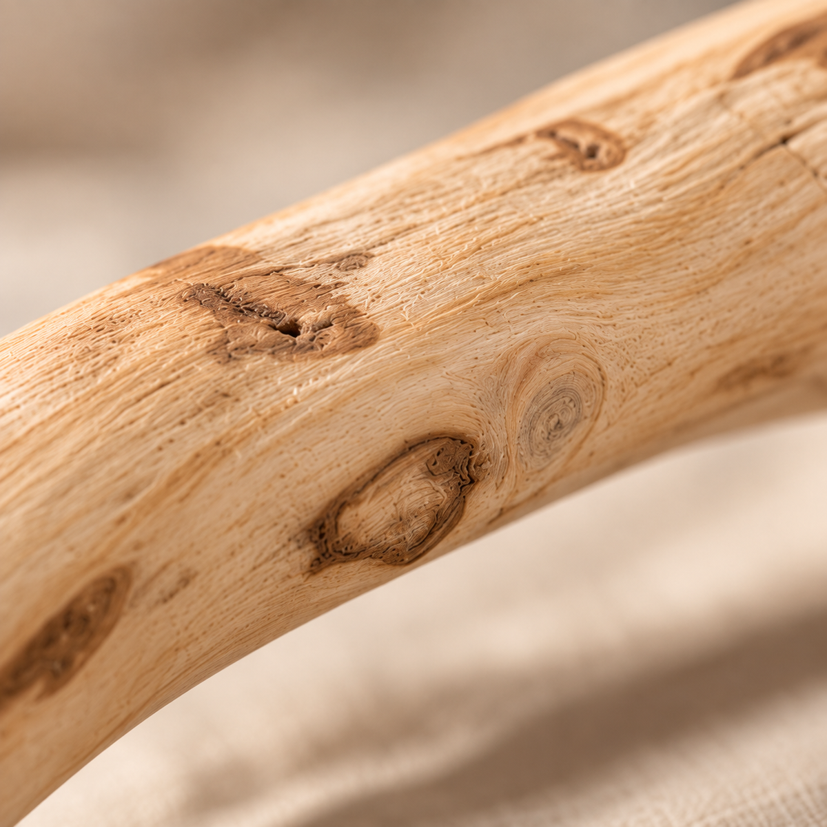 The Natural Coffee Wood Chew
