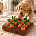 The Carrot Patch